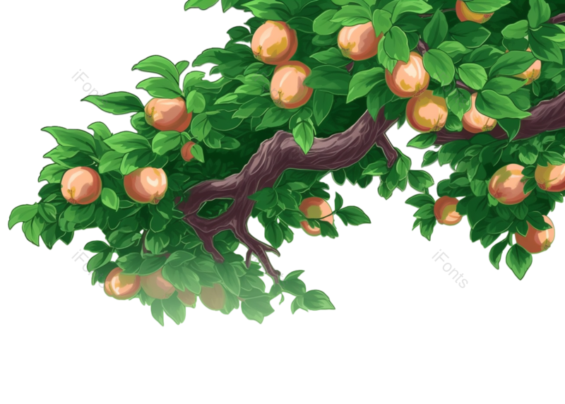 叶子图片,芒种元素,主图PNG,绿叶免抠素材